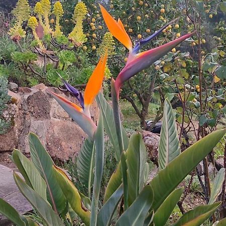 Villa Boheme Costa Brava กาลองเย ภายนอก รูปภาพ