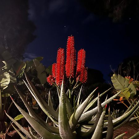 Villa Boheme Costa Brava กาลองเย ภายนอก รูปภาพ