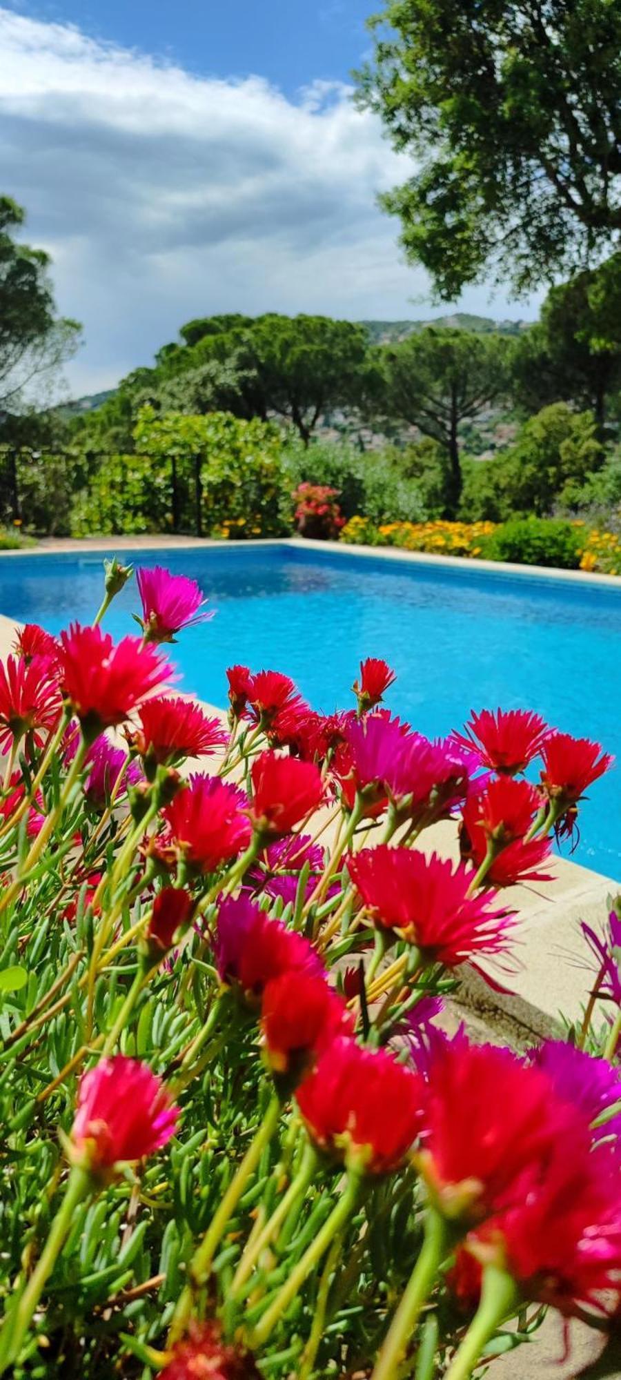 Villa Boheme Costa Brava กาลองเย ภายนอก รูปภาพ