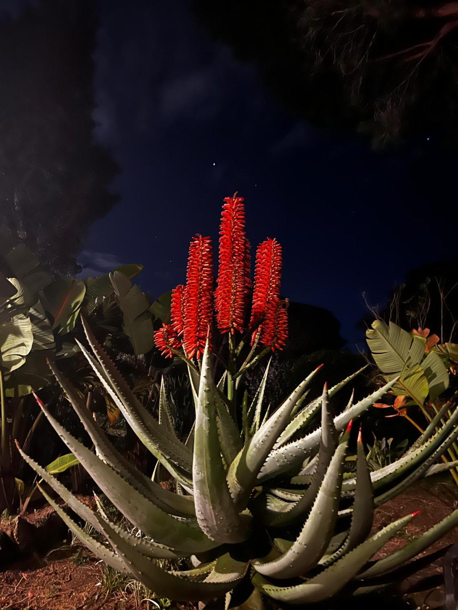 Villa Boheme Costa Brava กาลองเย ภายนอก รูปภาพ